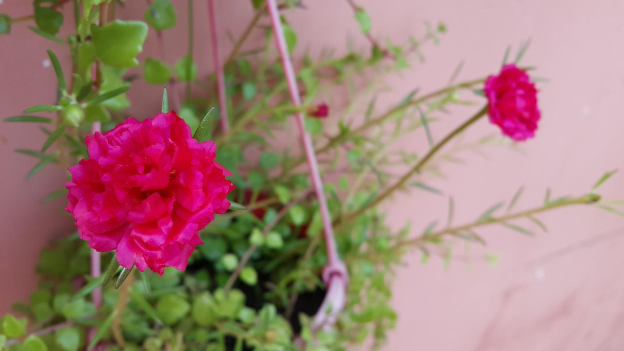 Pama Hotel Kampong Chhnang ภายนอก รูปภาพ
